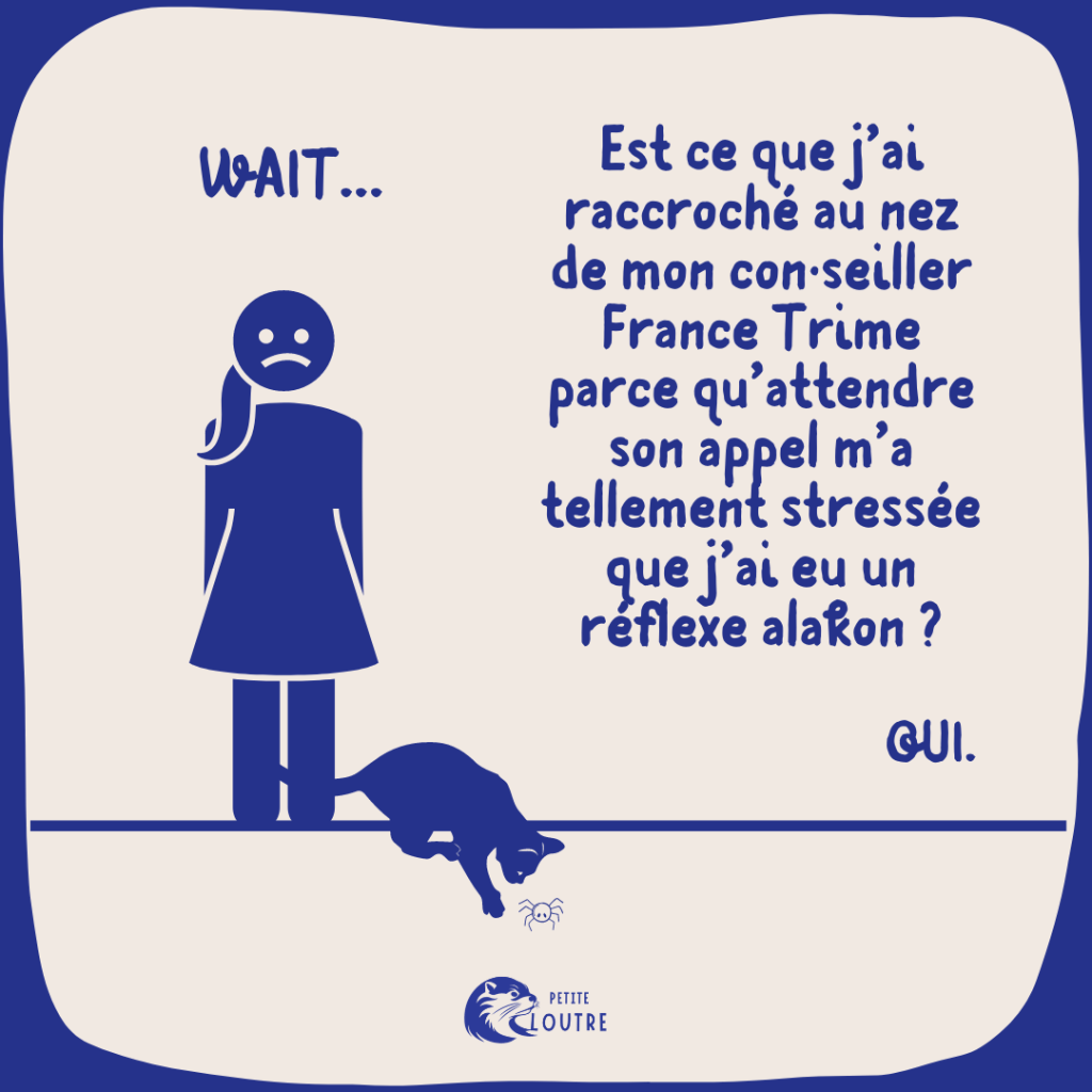 Le personnage Féminin est consterné. "Wait" dit-elle"est ce que j'ai raccroché au nez de mon conseiller France trime parce qu'attendre son appel m'a tellement stressée que j'ai eu un réflexe alakon ?" "OUI".
Le chat s'en fout, il a trouvé une araignée.