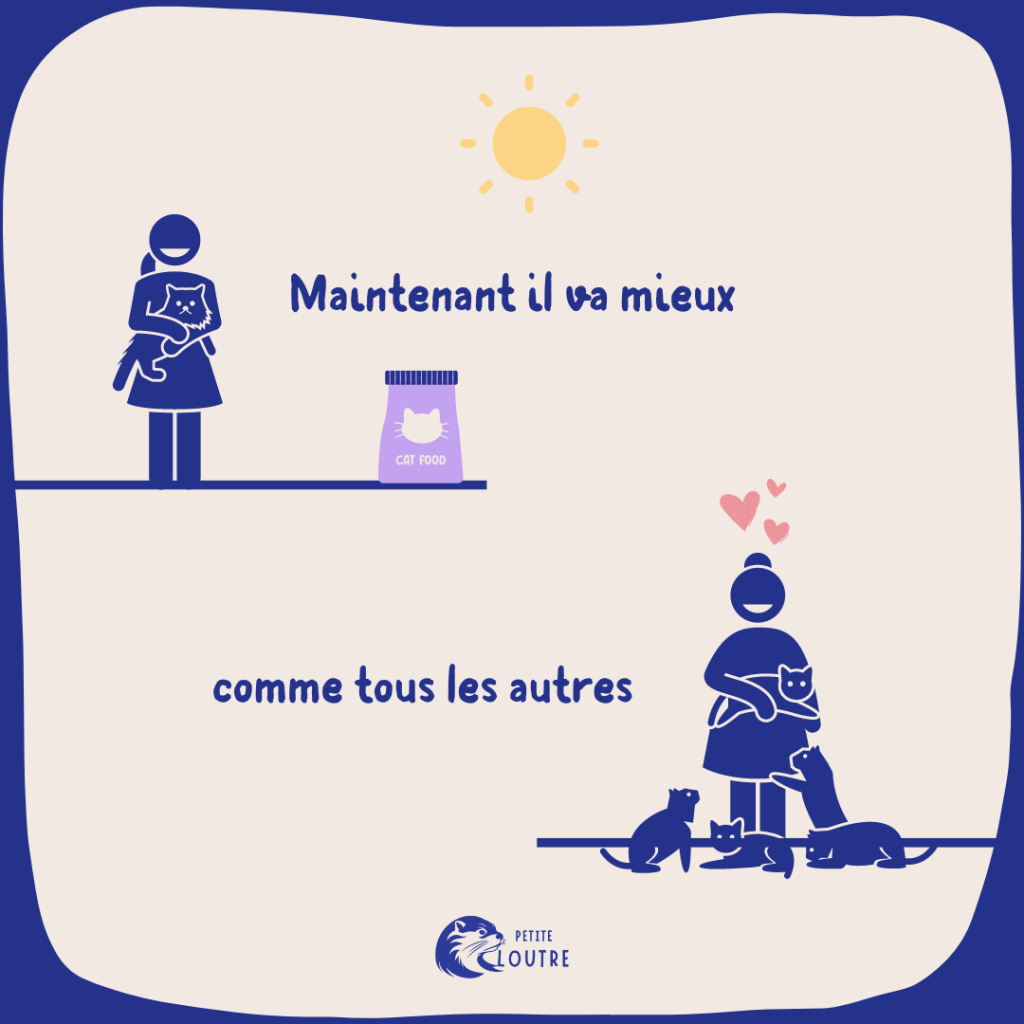 L'image est en deux temps.
Temps 1 le personnage féminin tient le chat dans ses bras, qui s'est remplumé. A leurs cotés un gros paquet de croquettes. 3maintenant il va mieux" dit le personnage
Temps 2 : le personnage féminin a un chat dans les bras et quatre à ses pieds. "comme tous les autres" dit-elle. 